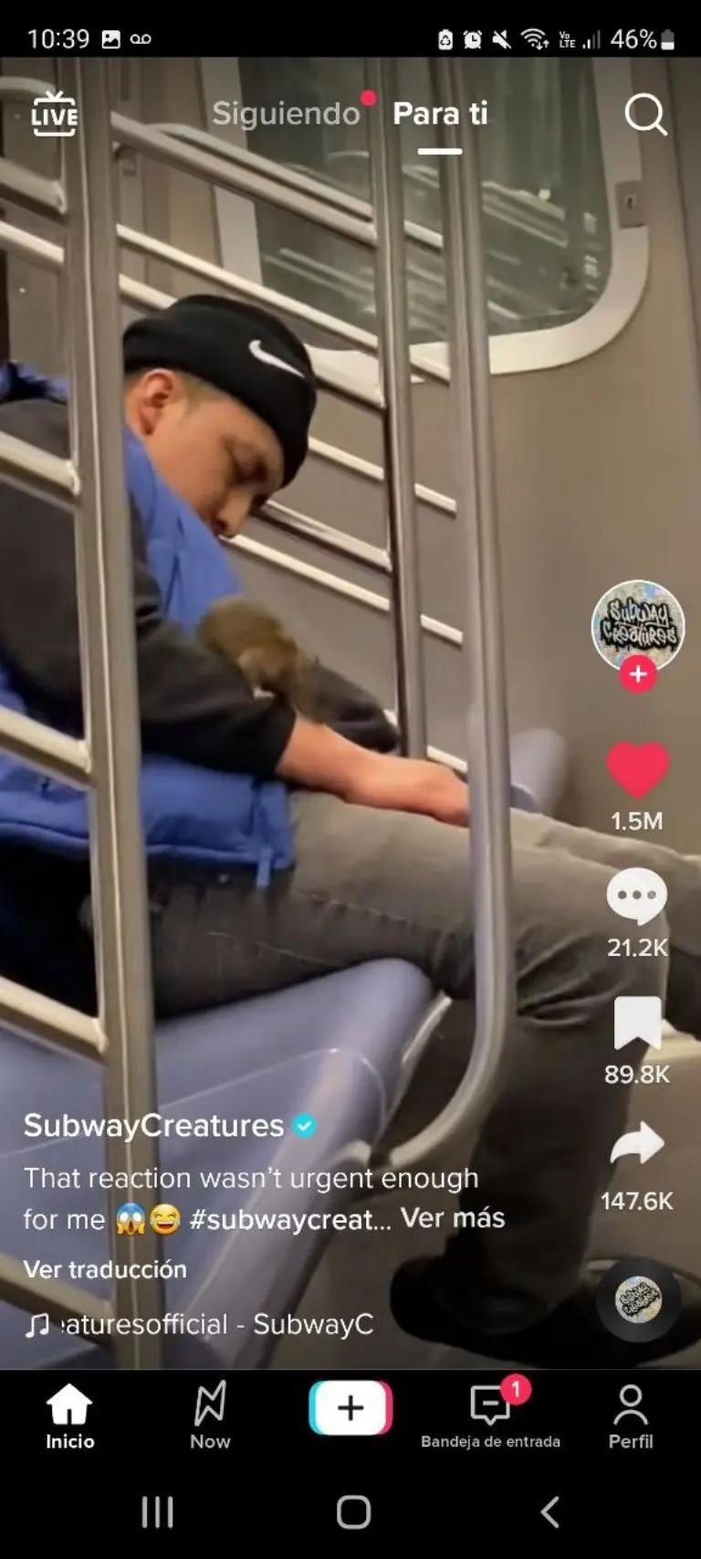 Rata se sube a joven que dormía en el metro - Tomada de video
