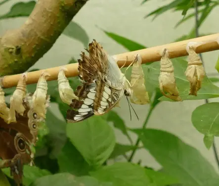 La transformación del rol docente a través de una experiencia de formación La transformación del rol docente a través de una experiencia de formación