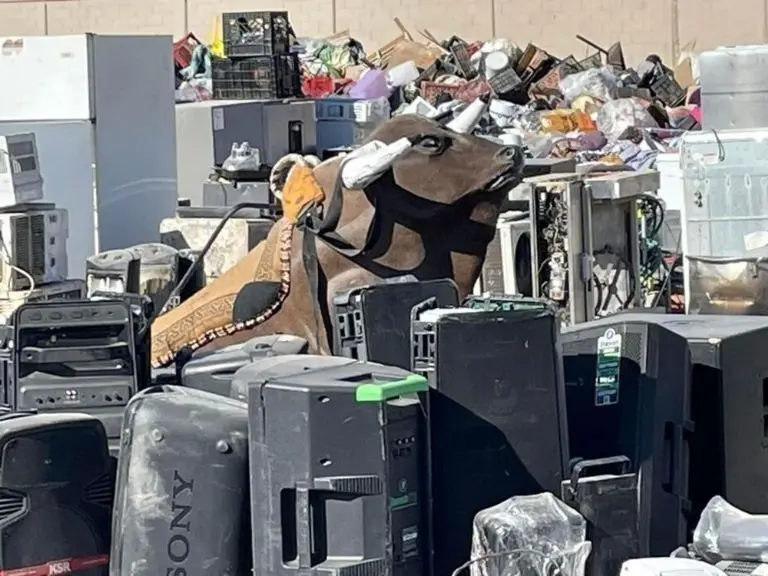 En el Centro de Readaptación Social (Cereso 3) de Ciudad Juárez, Chihuahua, también fueron encontrados otros objetos Créditos: Especial