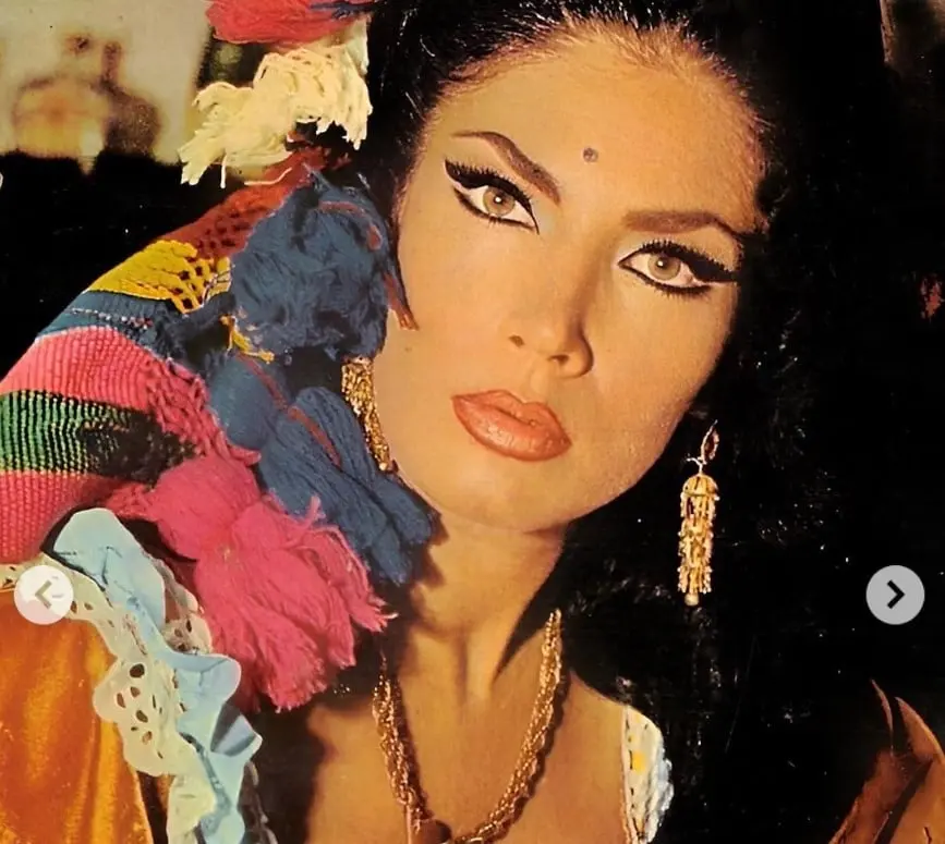 Desde peque&ntilde;a, Irma sinti&oacute; inter&eacute;s por la m&uacute;sica y a los 14 a&ntilde;os se mud&oacute; a la Ciudad de M&eacute;xico para perseguir su sue&ntilde;o.