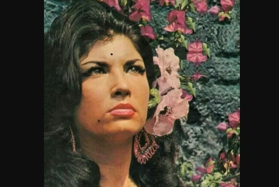 Tuvo pol&eacute;micos romances con personalidades como: Gustavo D&iacute;az Ordaz, Pato Zambrano y Poncho de Nigris.