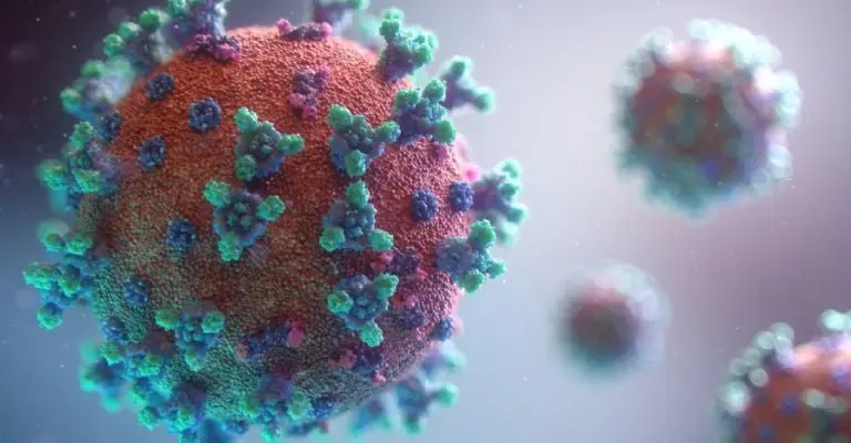 De acuerdo con el WSJ, el FBI se negó a explicar cómo llego a esas conclusiones. Imagen: Fusion Medical Animation, Unsplash.