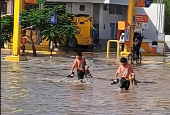 Niño rescata a lomito de inundación y se hace viral