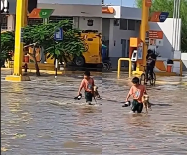 Ni&ntilde;o rescata a lomito de inundaci&oacute;n y se hace viral