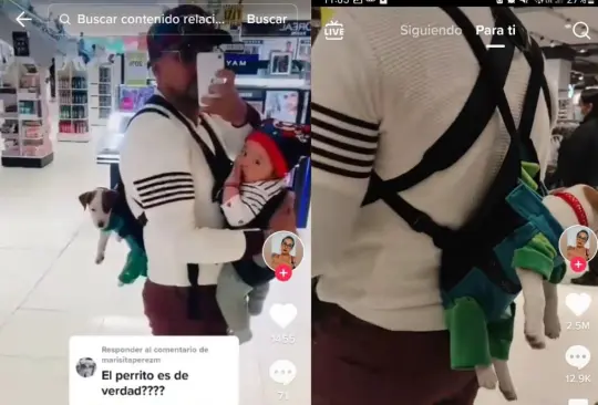 Captan a hombre cargando a su hijo y perro en cangurera Captan a hombre cargando a su hijo y perro en cangurera