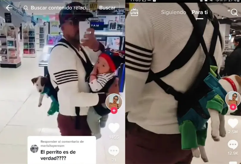 Captan a hombre cargando a su hijo y perro en cangurera