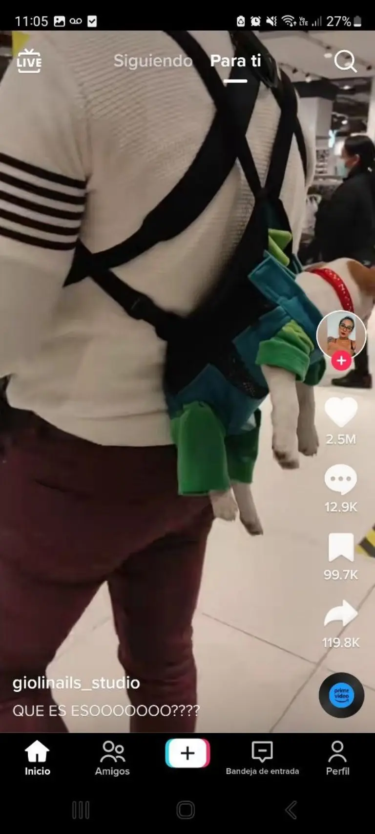 Hombre pasea con perrito y bebé - Tomada de video