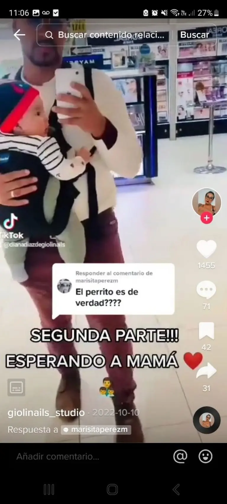 Hombre pasea con perrito y bebé - Tomada de video