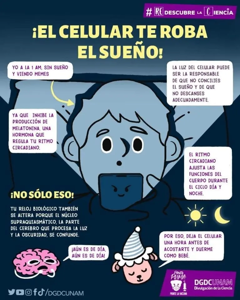 Crédito: Divulgación de la Ciencia, UNAM