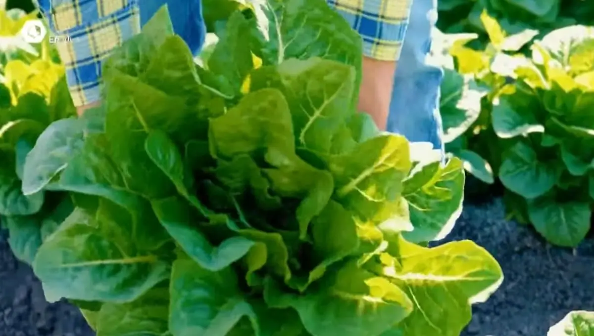 Otorgando cr&eacute;ditos, el Gobierno de Guanajuato logr&oacute; salvar m&aacute;s de 100 mil empleos: 'un aplauso a nuestros empresarios porque confiaron en nosotros, nosotros confiamos en ellos y salvamos much&iacute;simos empleos', dijo el gobernador.