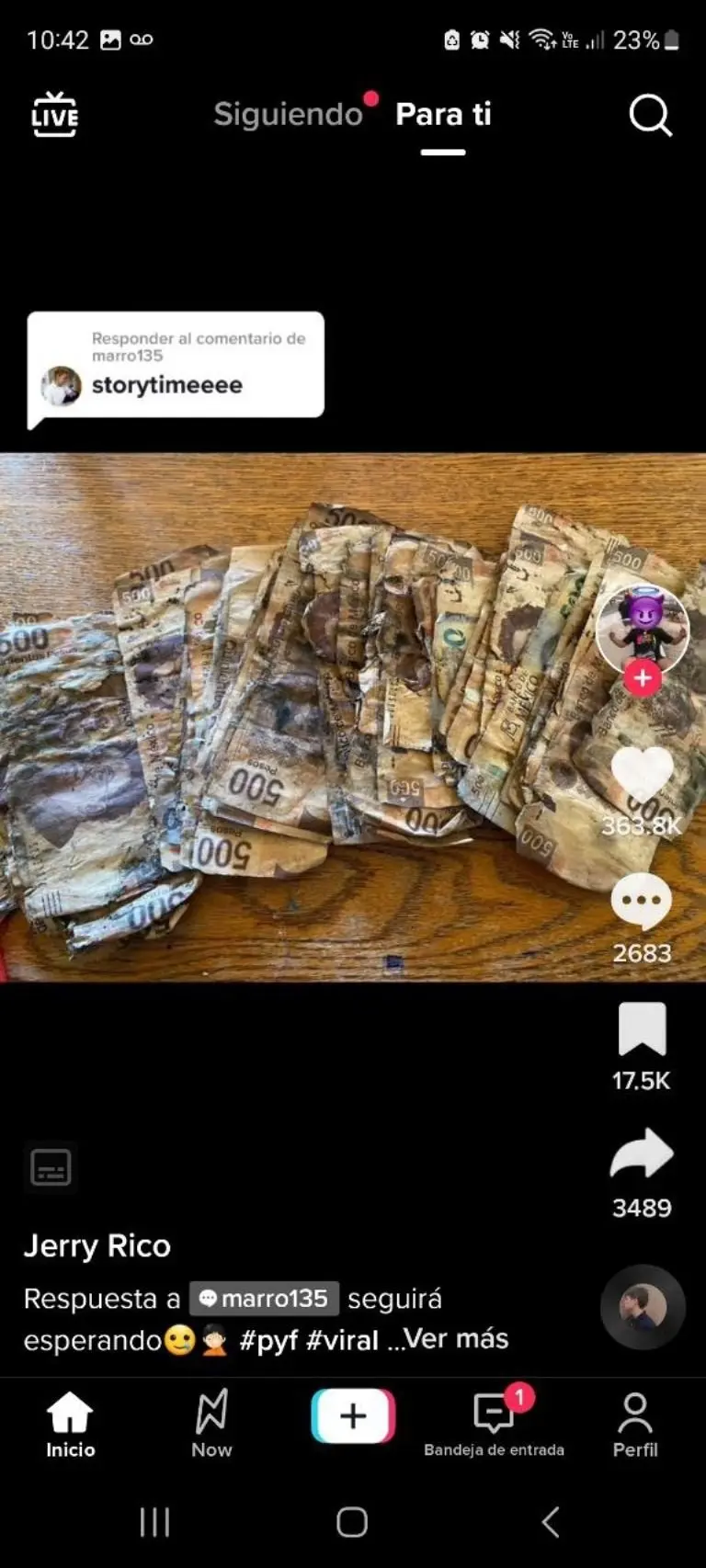 Hombre pierde sus ahorros por enterrarlos - Tomada de video