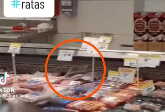 Captan a enormes ratas en supermercado Captan a enormes ratas en supermercado