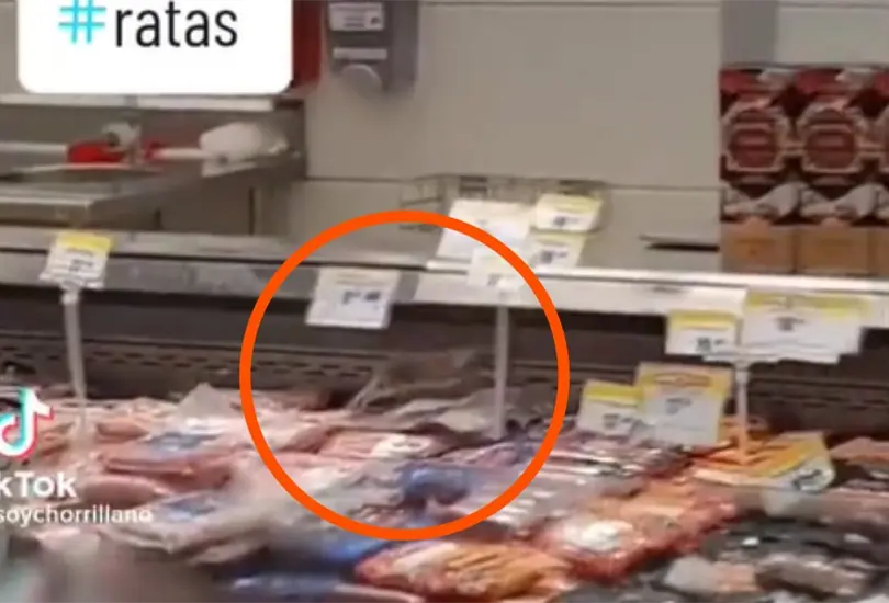 Captan a enormes ratas en supermercado