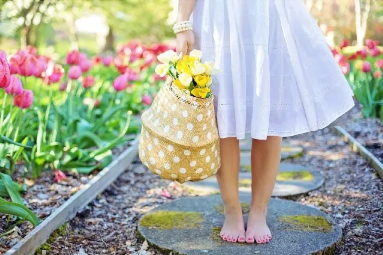 Rituales para recibir el Equinocio de Primavera - Pixabay
