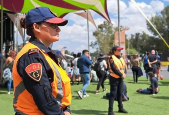 Detienen a mujer que robaba celulares en Vive Latino