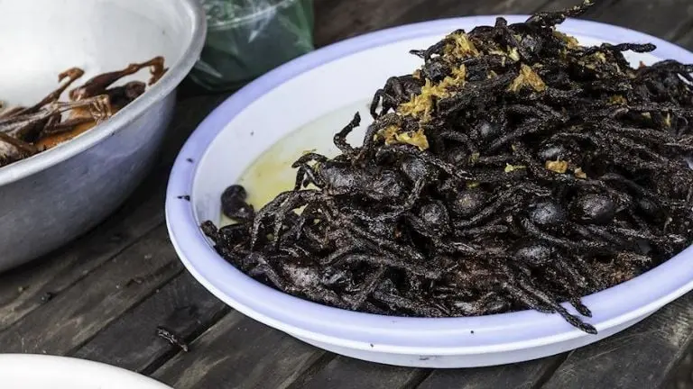 Arañas tarántula fritas en aceite caliente. Créditos: Taste Atlas