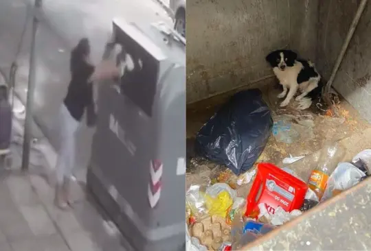 Mujer tira su perrita a la basura y logran rescatarla. 