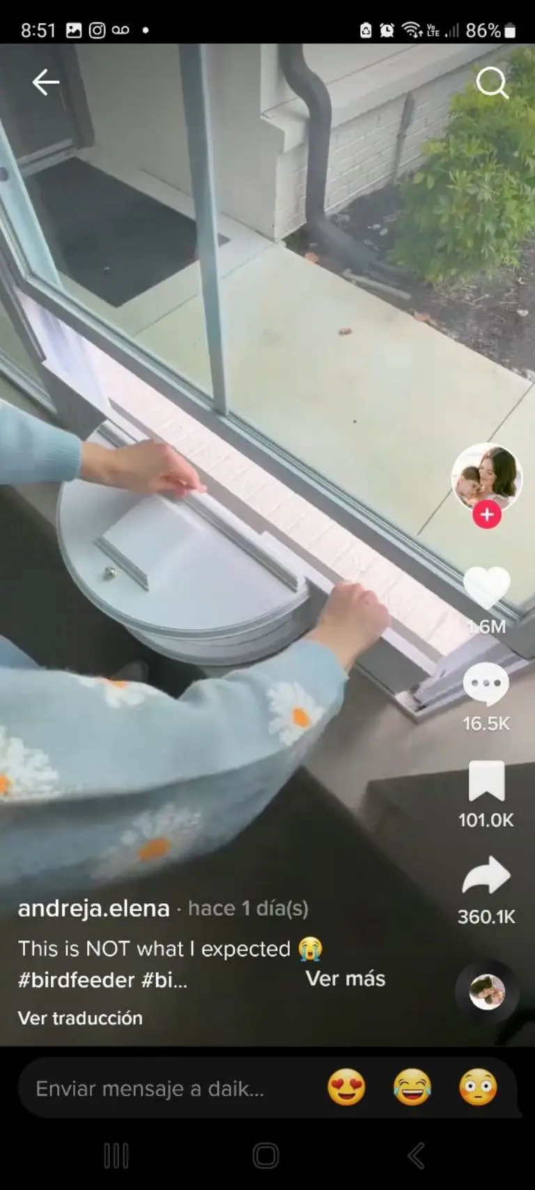 La mujer mostró cómo preparó todo para que la visitaran aves en su ventana - Tomada de video