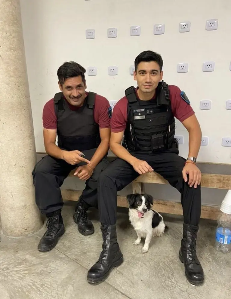 Elementos de la Policía de Buenos Aires que rescataron e Ellie. Créditos: @policiadelaciudad (Instagram)