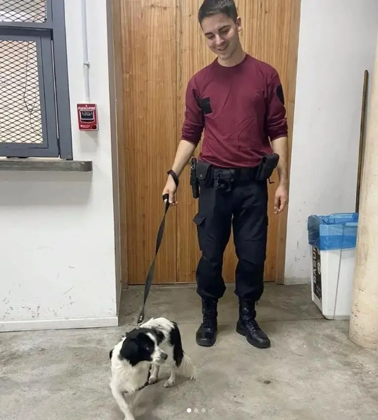Policía que adoptó y llamó Ellie a la perrita rescatada. Créditos: @policiadelaciudad (Instagram)
