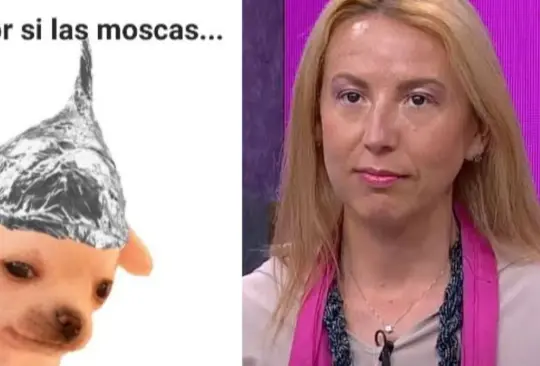La invasión extraterrestre ha dejado un sinfín de memes por el supuesto fin del mundo. La invasión extraterrestre ha dejado un sinfín de memes por el supuesto fin del mundo.