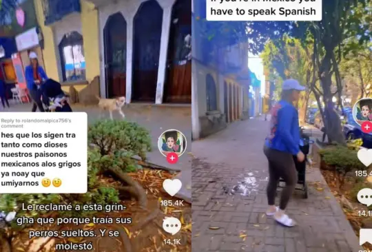 La mexicana le reclamó a la extranjera que paseara a sus perros con correa, hecho que la molestó mucho La mexicana le reclamó a la extranjera que paseara a sus perros con correa, hecho que la molestó mucho