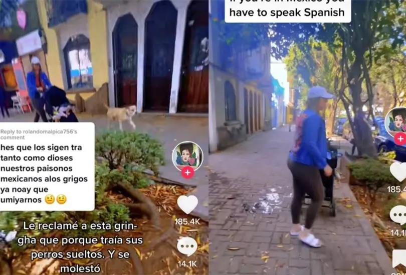 La mexicana le reclam&oacute; a la extranjera que paseara a sus perros con correa, hecho que la molest&oacute; mucho