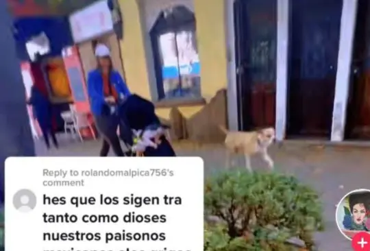 La mexicana le reclamó a la extranjera que paseara a sus perros con correa, hecho que la molestó mucho