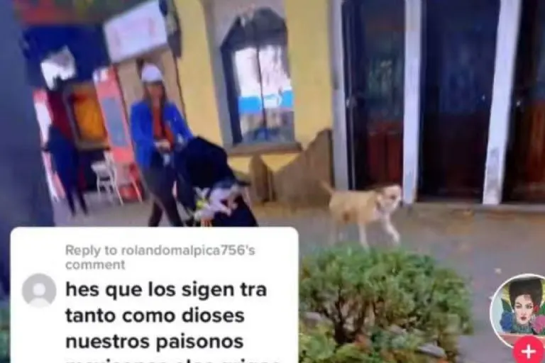Mexicana exige a extranjera que hable español (TikTok)