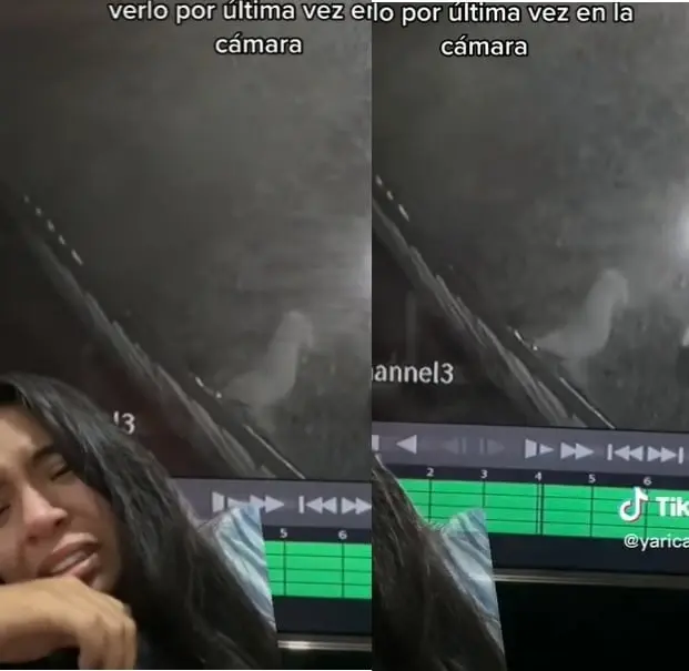 Supuesta "alma" de perrito se despide de su dueña tras morir, lo capta cámara de seguridad Supuesta "alma" de perrito se despide de su dueña tras morir, lo capta cámara de seguridad