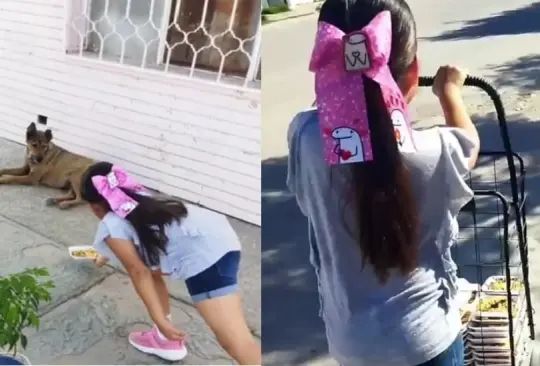 Niña reparte alimento a muchos perritos de callejeros y se hace viral