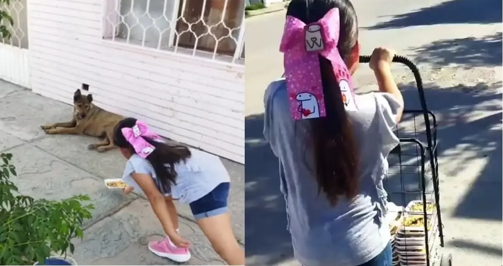 Ni&ntilde;a reparte alimento a muchos perritos de callejeros y se hace viral