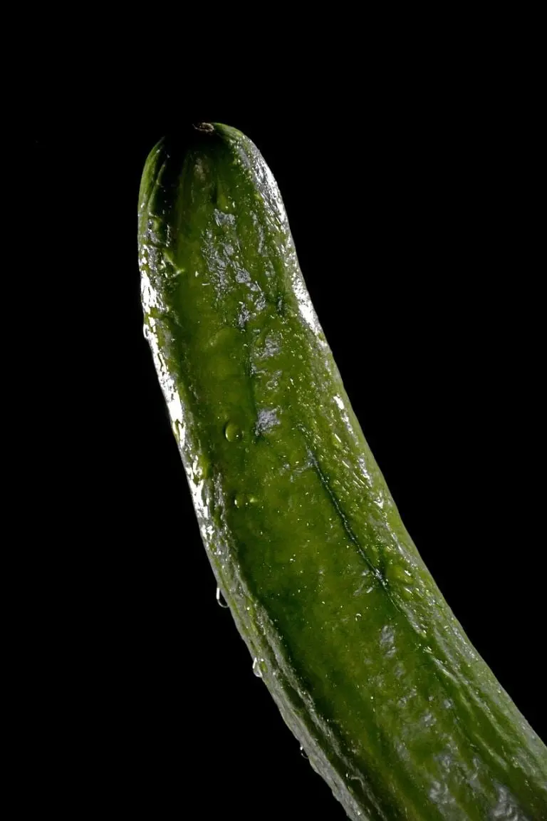 La afirmación que se repite a menudo de que el tamaño promedio del pene erecto es de casi 16 es probablemente una mentira. Fuente: Pixabay