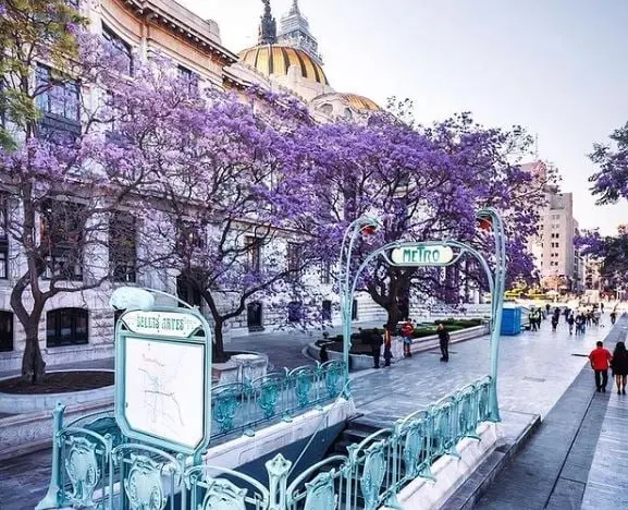 Esta entrada ubicada en la alameda Central fue un obsequi&oacute; del gobierno franc&eacute;s. El arco es color verde agua y es una r&eacute;plica de los dise&ntilde;os al estilo art noveau que el arquitecto Hector Guimard hizo para esta ciudad.
