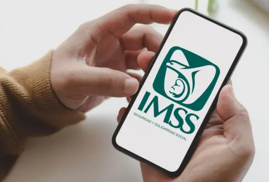 Qué es el tarjetón digital del IMSS y cómo tramitarlo. 