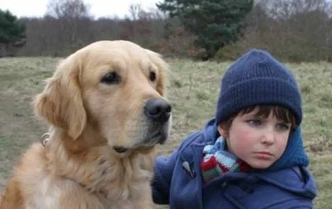 La pel&iacute;cula presenta a un ni&ntilde;o llamado Dale, quien padece un caso severo de autismo, pero su perro llamado Henry le ense&ntilde;a el significado de la amistad y compa&ntilde;&iacute;a.