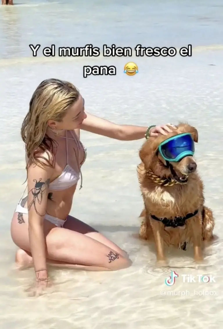 Murph dejándose acariciar por turistas. Créditos: @murph_holbox