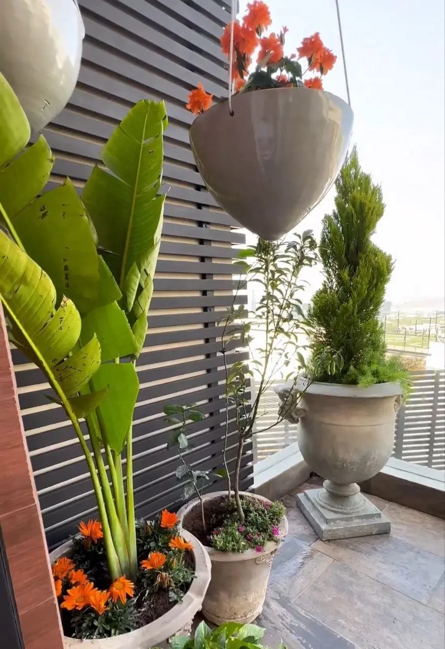 La habitación también cuenta con una terraza.