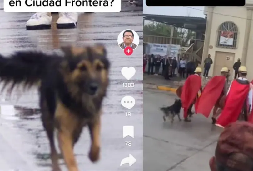 Perrito defiende a Jesús en Viacrusis Perrito defiende a Jesús en Viacrusis