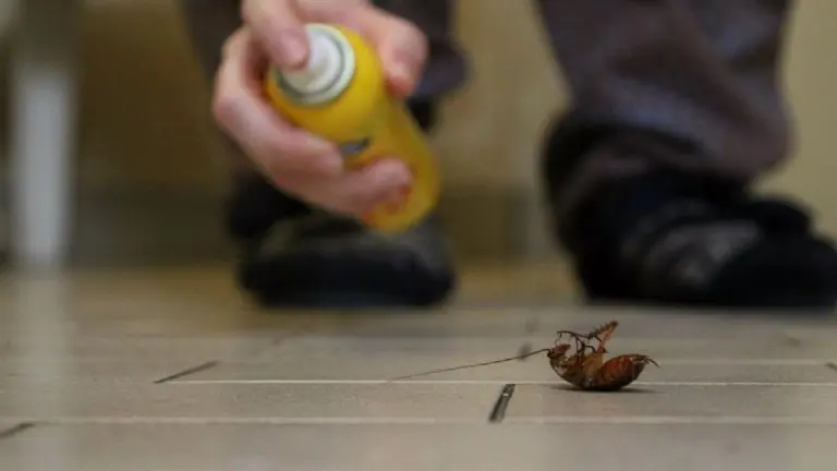 Uso de insecticidas en aerosol. Créditos: Canva