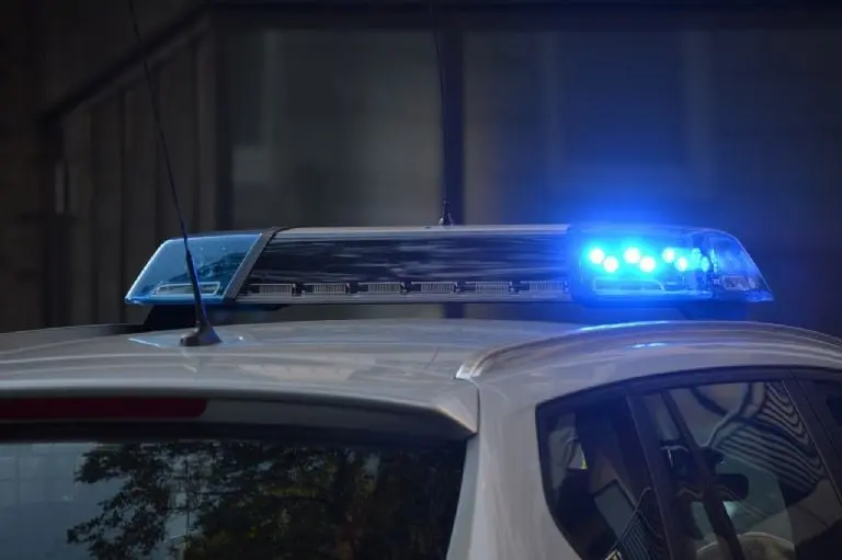 Otro policía que circulaba sobre la calle Álvaro Obregón con dirección al sur, observó el paso de la unidad MX-004-P1. Fuente: Pixabay