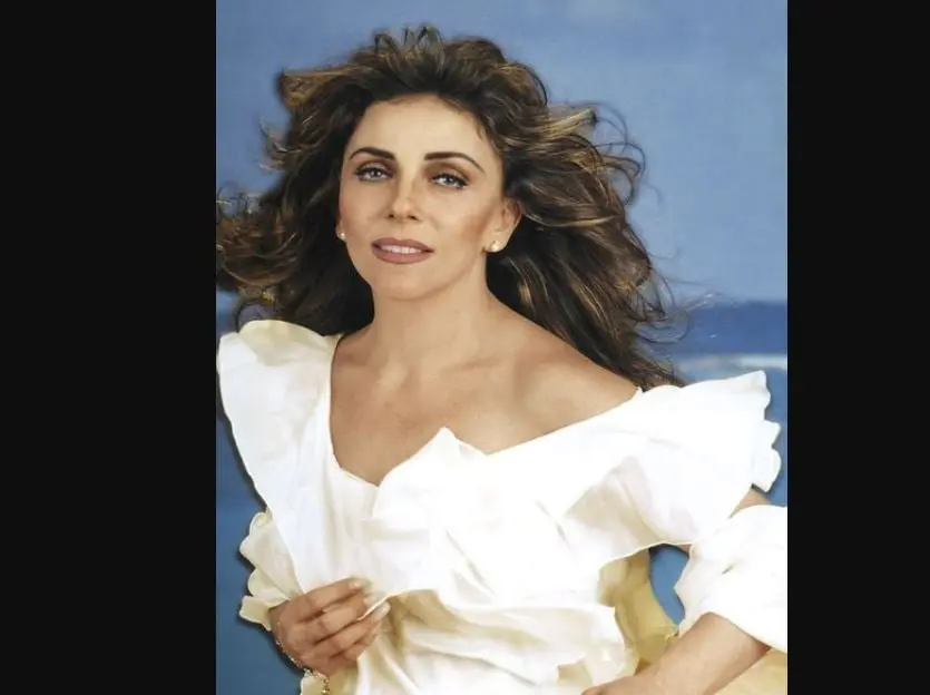 En 1993 estelariz&oacute; la telenovela 'Valentina', la cual no fue exitosa y un a&ntilde;o m&aacute;s tarde, condujo el programa nocturno 'En la noche', cuyos invitados eran grandes ballets y orquestas del mundo.