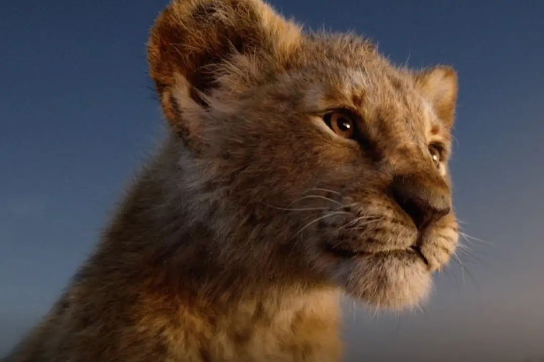 La nueva versi&oacute;n de El rey le&oacute;n es la cinta animada m&aacute;s taquillera de la historia con una recaudaci&oacute;n de 1,656 millones de d&oacute;lares.