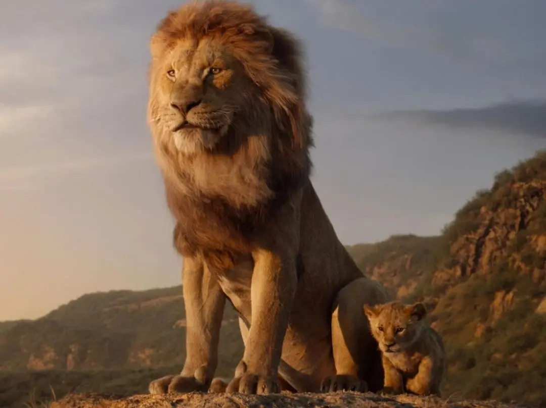 El rey le&oacute;n (2019)