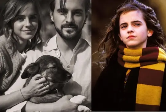 Conoce a Sofia, la perrita que Emma Watson adoptó en México