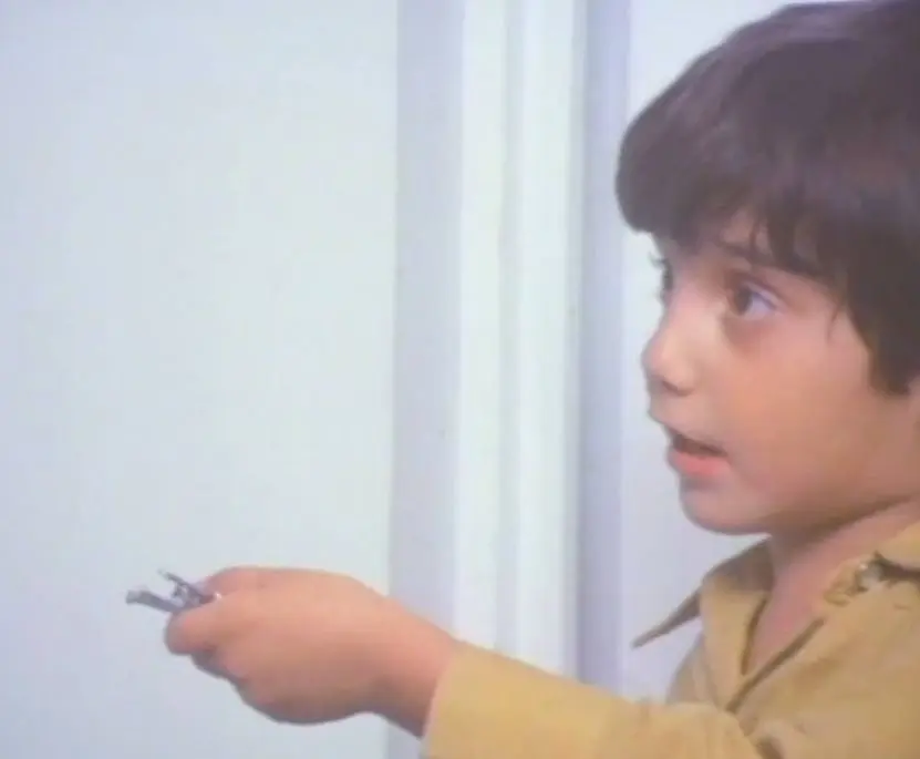 A los cuatro a&ntilde;os particip&oacute; en la pel&iacute;cula 'Picard&iacute;a Mexicana' junto a su padre, Vicente Fern&aacute;ndez. 