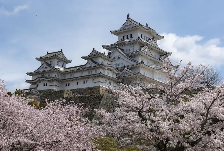 9. Jap&oacute;n: 19,4