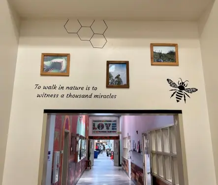 Habilidades verdes para transformar(nos) con la tierra