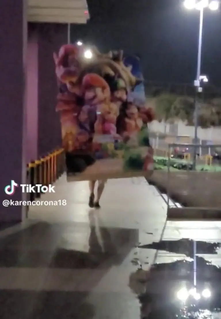 Joven roba letrero de Mario Bros del cine. Créditos: Tik Tok (@karencorona18)