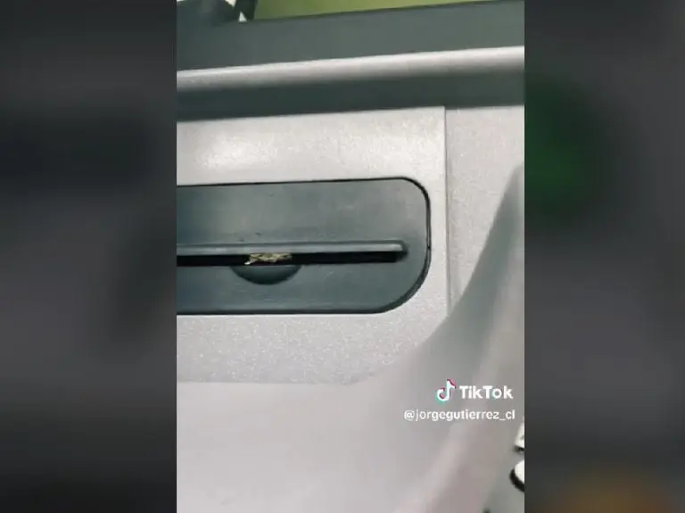 Exhiben robos en los cajeros automáticos (TikTok)
